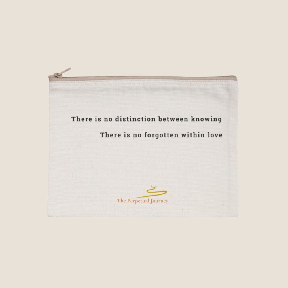 catastrophe travel companion pouch