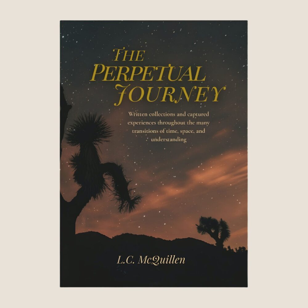 the perpetual journey book