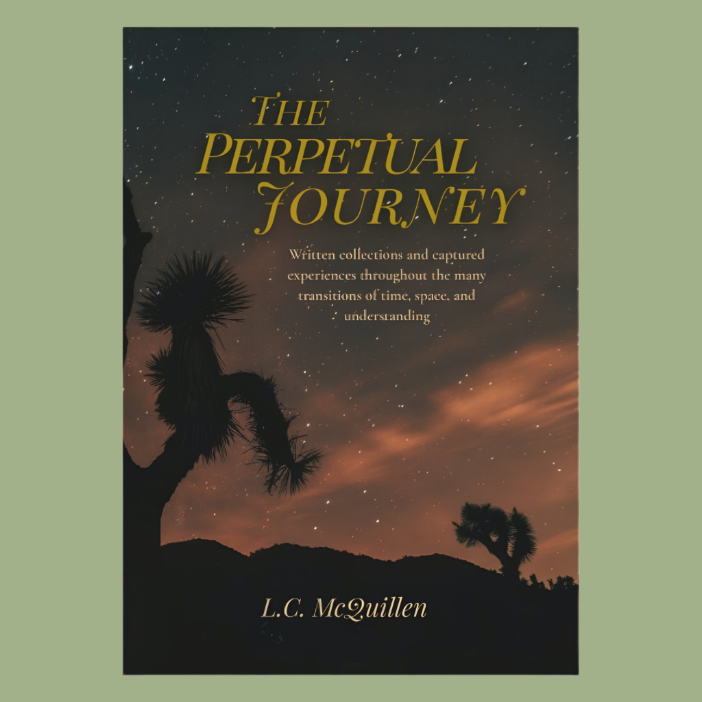 79f34ff4 38e1 4f4c 9705 5df5ca3b5b05 1024x1024