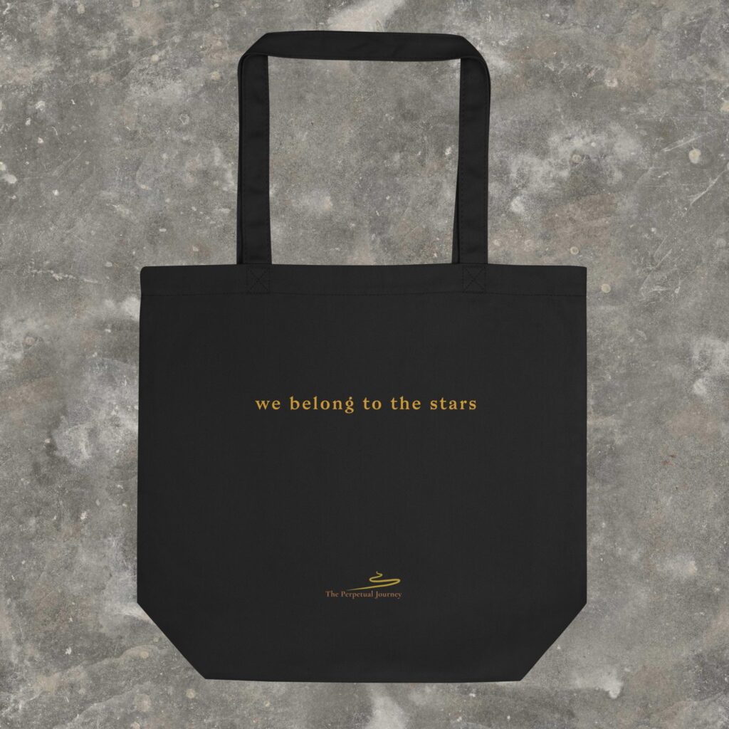 Eco Tote Bag Black Front 698119df10678 1024x1024